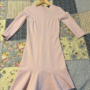 Ann Taylor Soft Pink Long Sleeve Dress